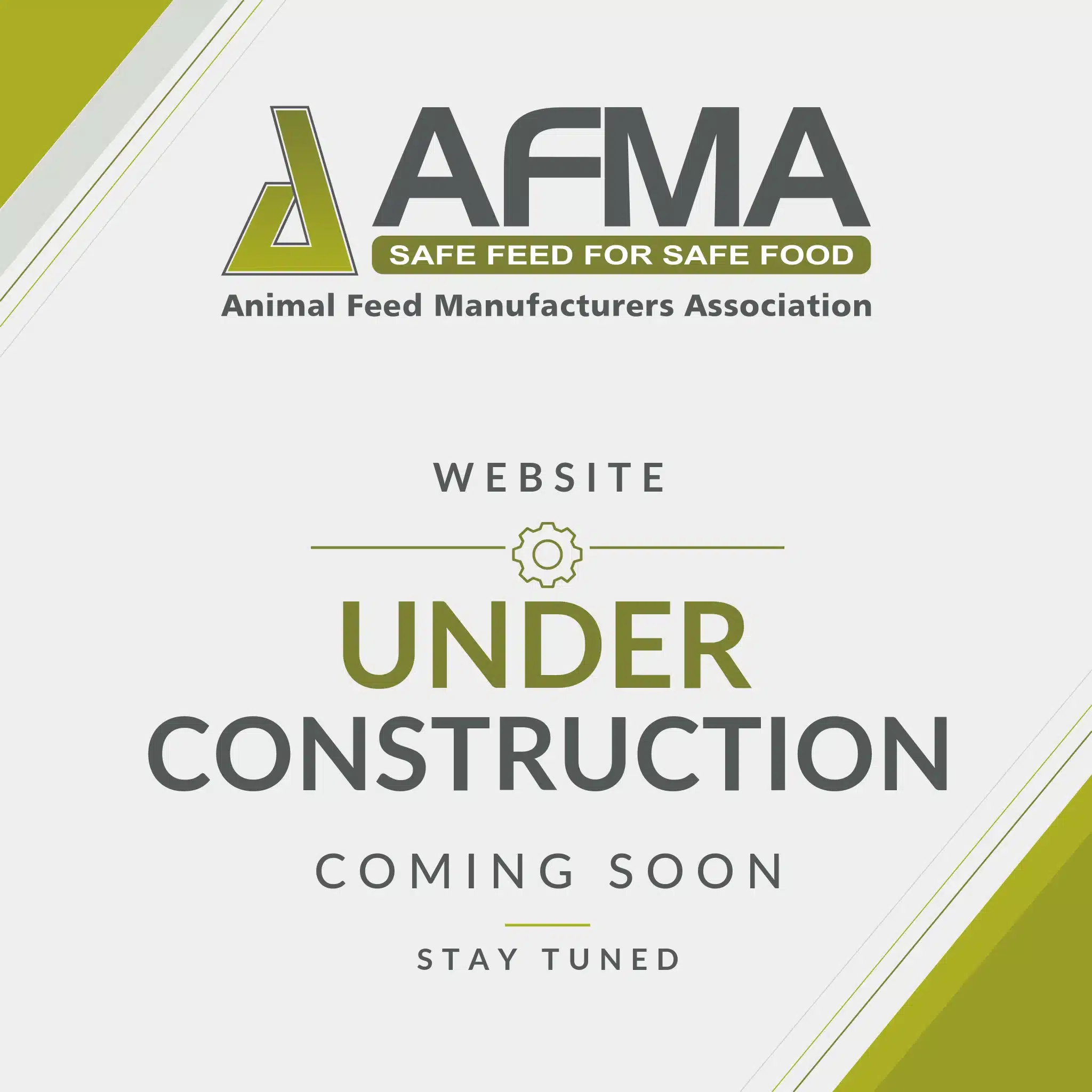 Website under Construction – Coming Soon – Stay Tuned